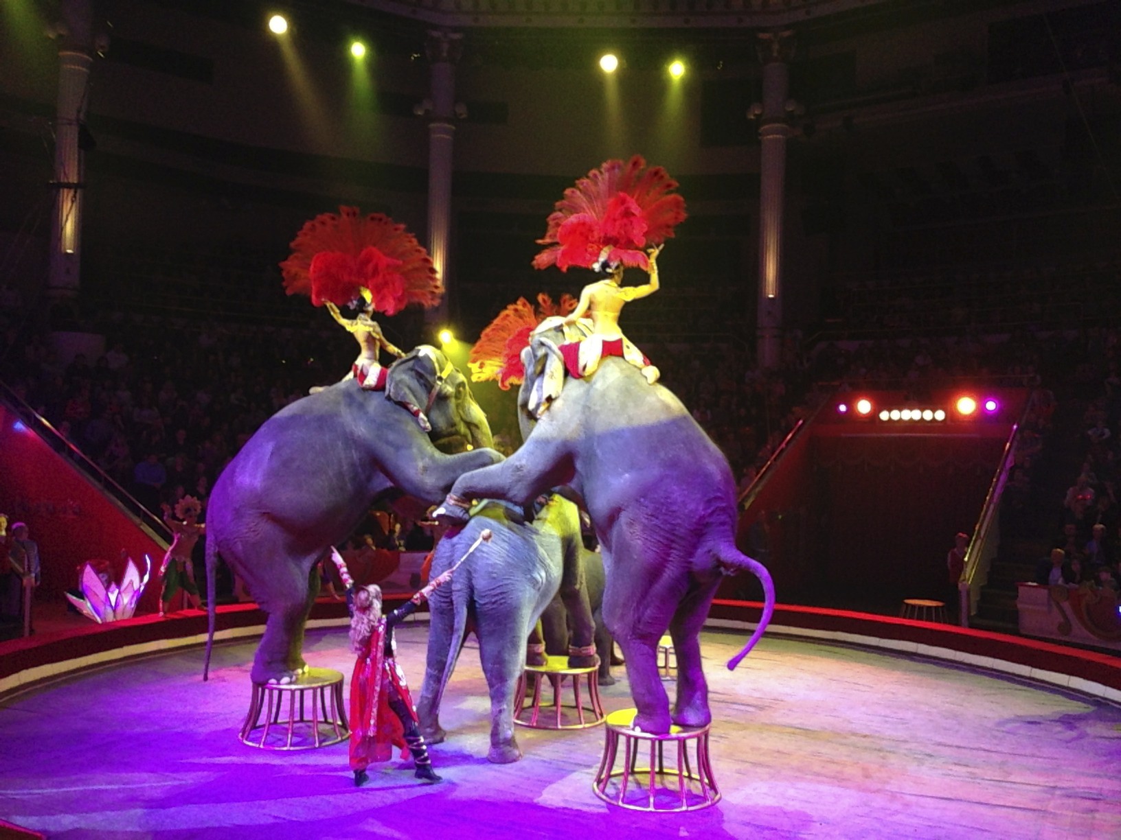 bolshoi-circus-Moscow