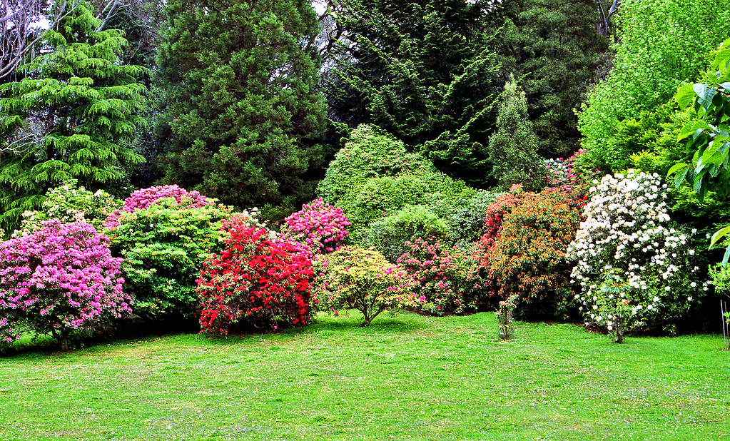 The Most Gorgeous Gardens In Melbourne Escape To Wonderland