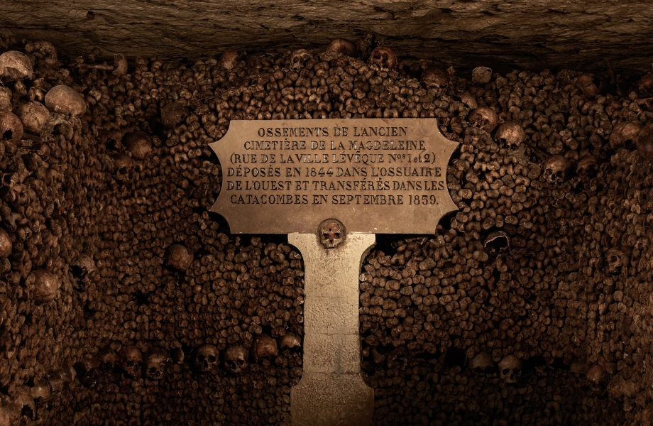 Image Credit : The Guardian