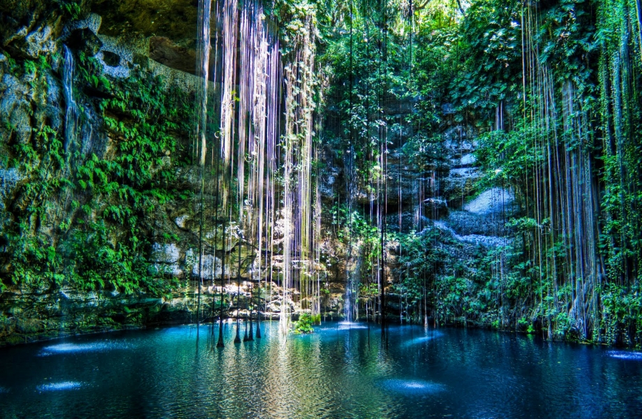 Image Credit : diply