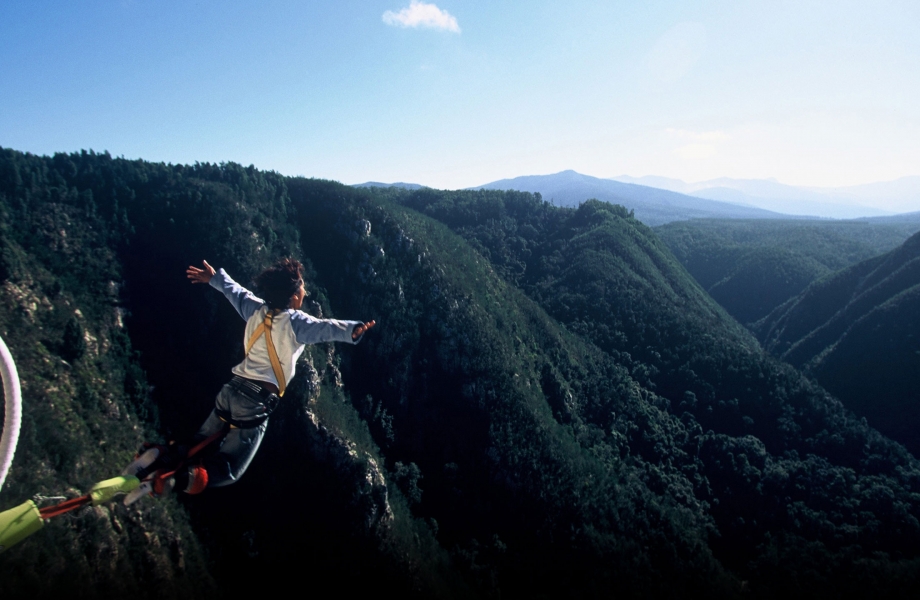 bungy