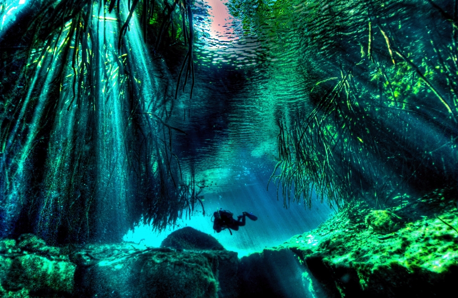 Image Credit : mexicocavediving