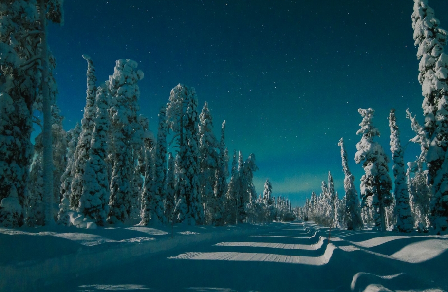 Image Credit : reddit