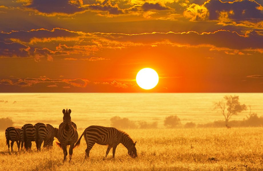 namibia