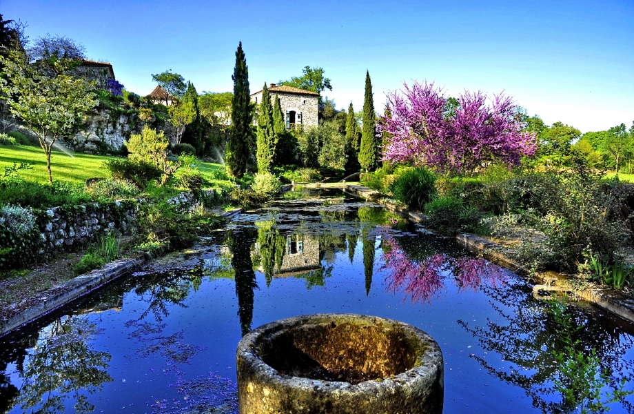 Image Credit : tripelonia