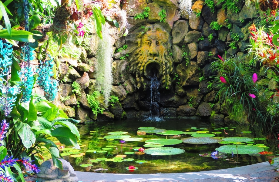 la-mortella-gardens-ischia-23