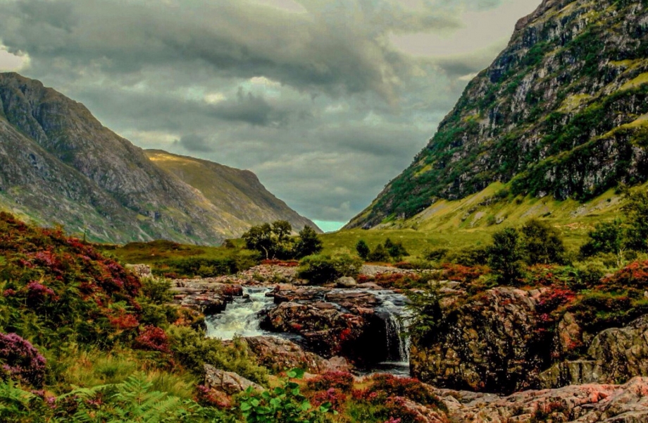 Image Credit : Glencoe