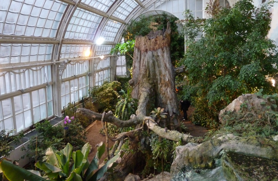 Butterfly_House_Interior,_Hofburg_Palace,_Vienne_P1210940