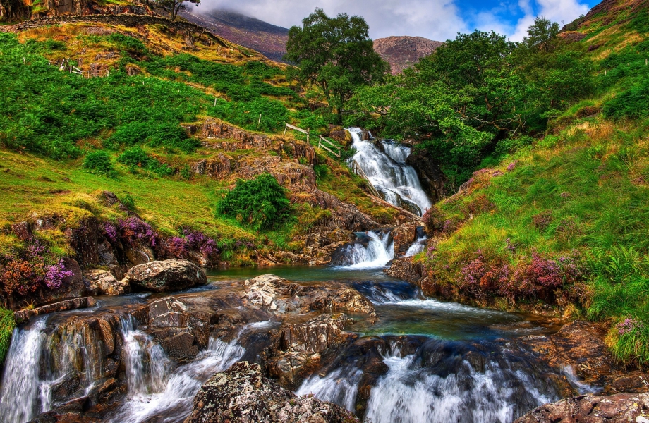 Image Credit : Wales