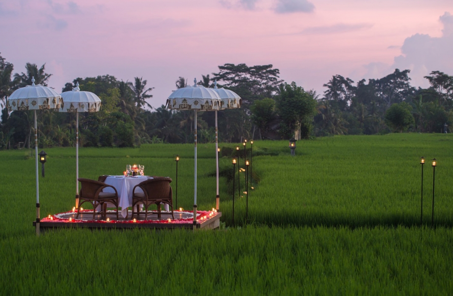 CTG-Dining-Experiences-Rice-Paddy-Romance
