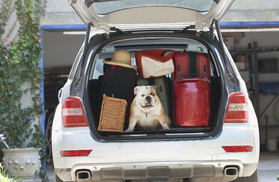 Roadtrip