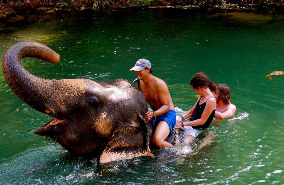 Elephant-ride