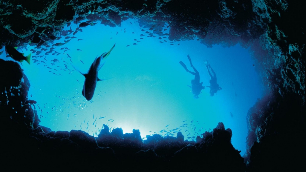 Scuba diving from fun in Australia Scuba diving from fun in Australia