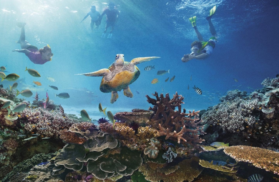 Deep within - The Great Barrier Reef Deep within - The Great Barrier Reef