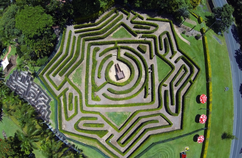 The Bellingham Maze The Bellingham Maze