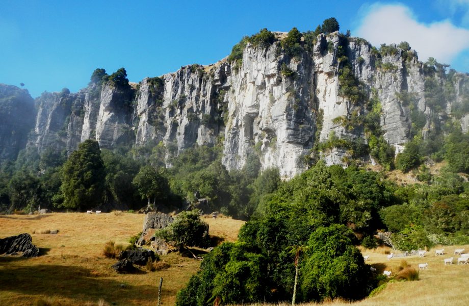 The Mangaotaki Rocks in Piopio The Mangaotaki Rocks in Piopio