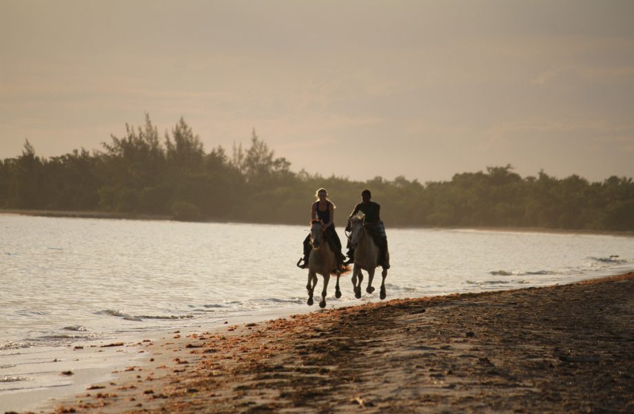 Representative image for couple horse riding activity on Ocean Road Representative image for couple horse riding activity on Ocean Road