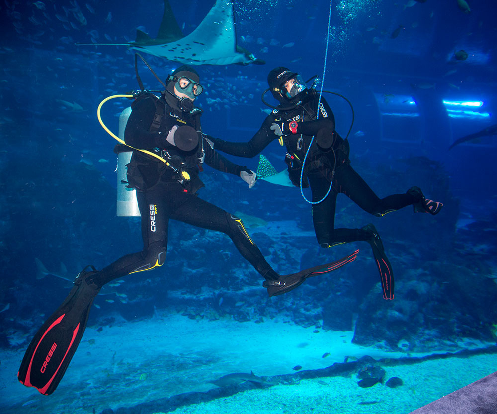 Divers at SEA Aquarium Singapore Divers at SEA Aquarium Singapore