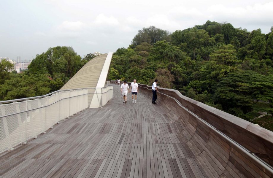 Southern Ridge Hiking Singapore henderson-waves-bridge1