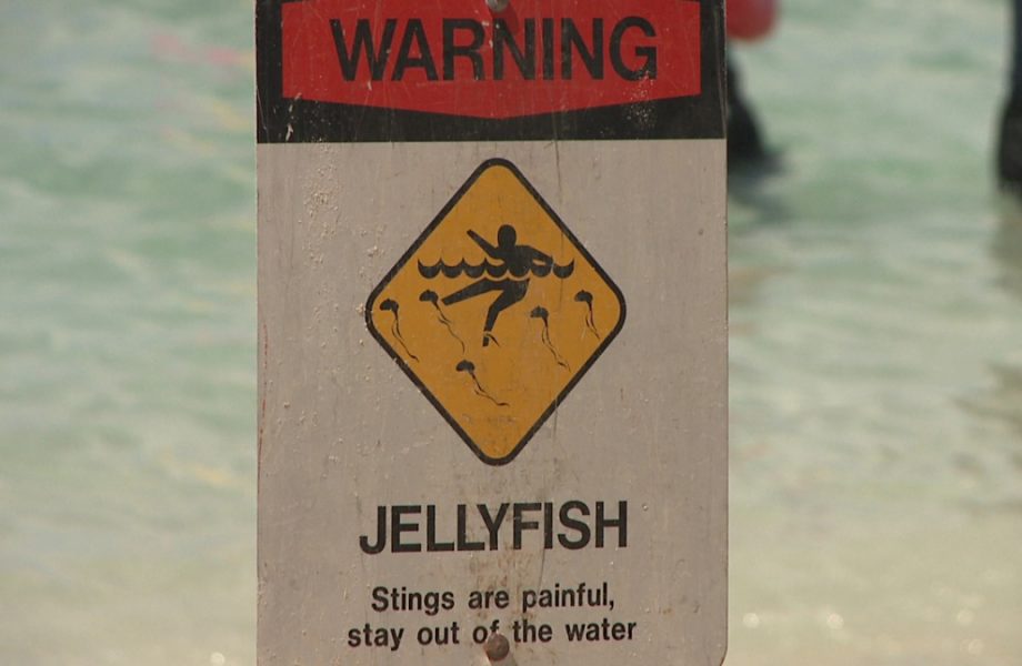 Jellyfish warning sign Jellyfish warning sign