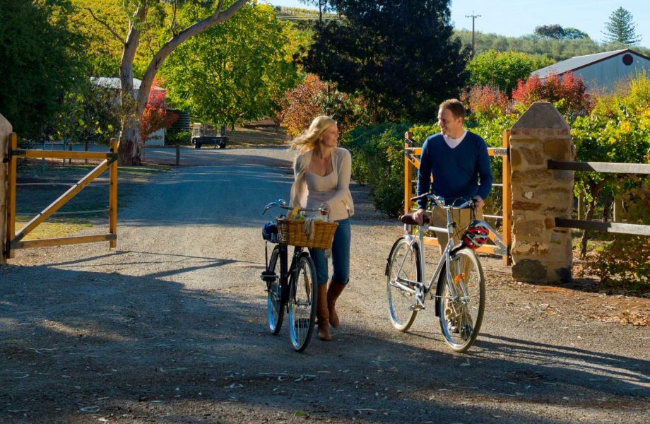 The Barossa valley wine and cycling activity The Barossa valley wine and cycling activity