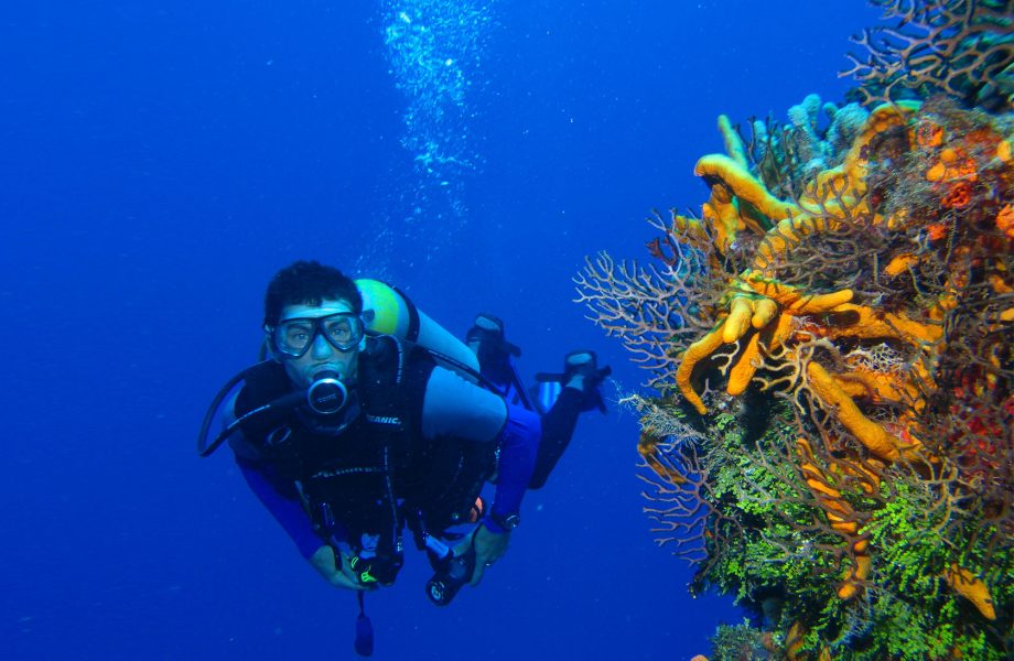 Diving at Layang Layang island