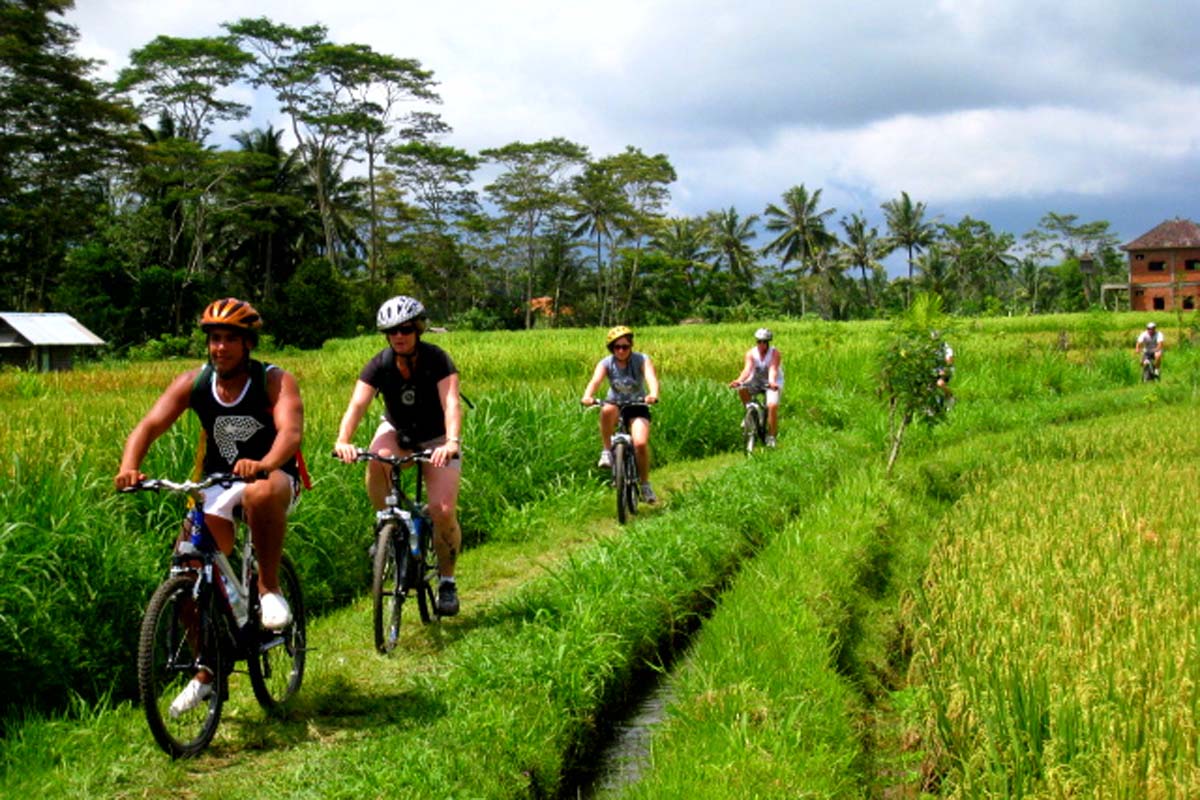 Ubud cycling tour