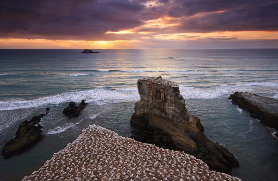muriwai-island-zealand-north muriwai-island-zealand-north