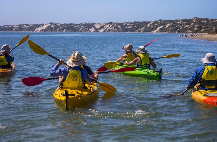 canoe-at-the-onkaparinga-river canoe-at-the-onkaparinga-river