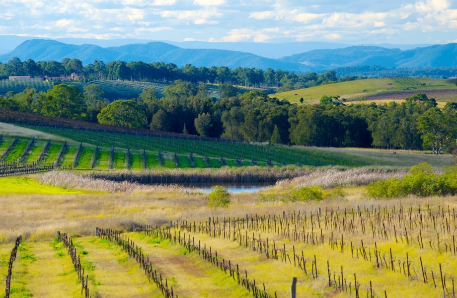 hunter-valley hunter-valley