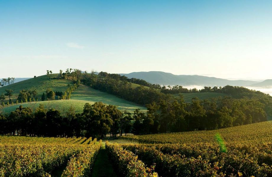 yarra-valley yarra-valley