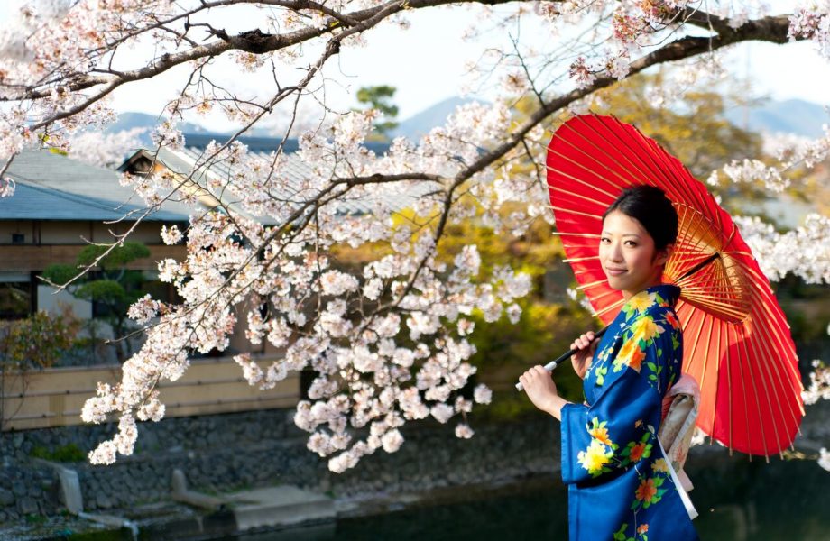 tokyo-cherry-blossoms-festival tokyo-cherry-blossoms-festival