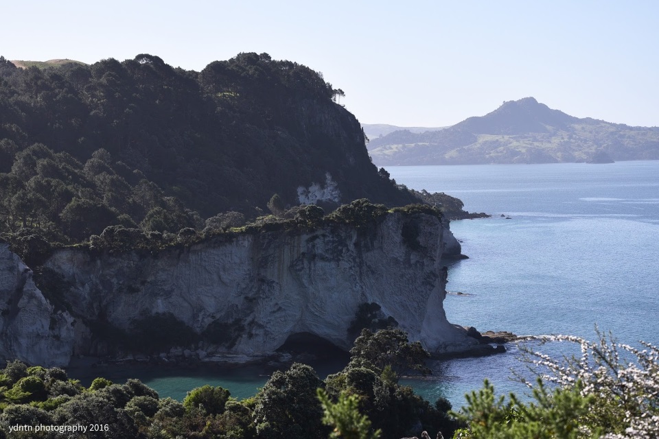 en route to Cathedral Cove en route to Cathedral Cove