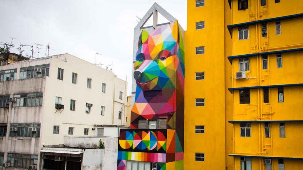 Graffiti rainbow bear Graffiti rainbow bear