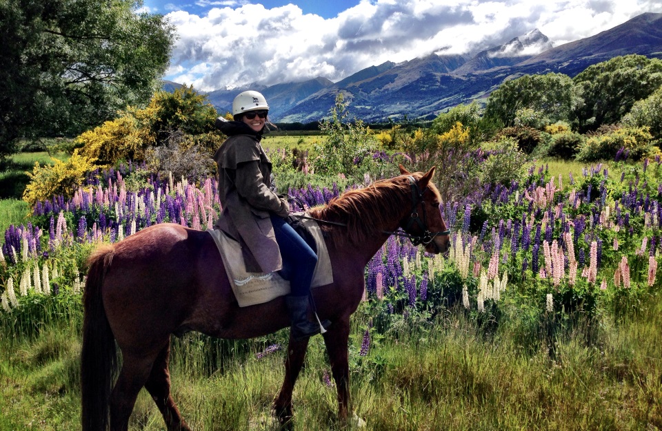 Horse riding in Glenorchy Horse riding in Glenorchy