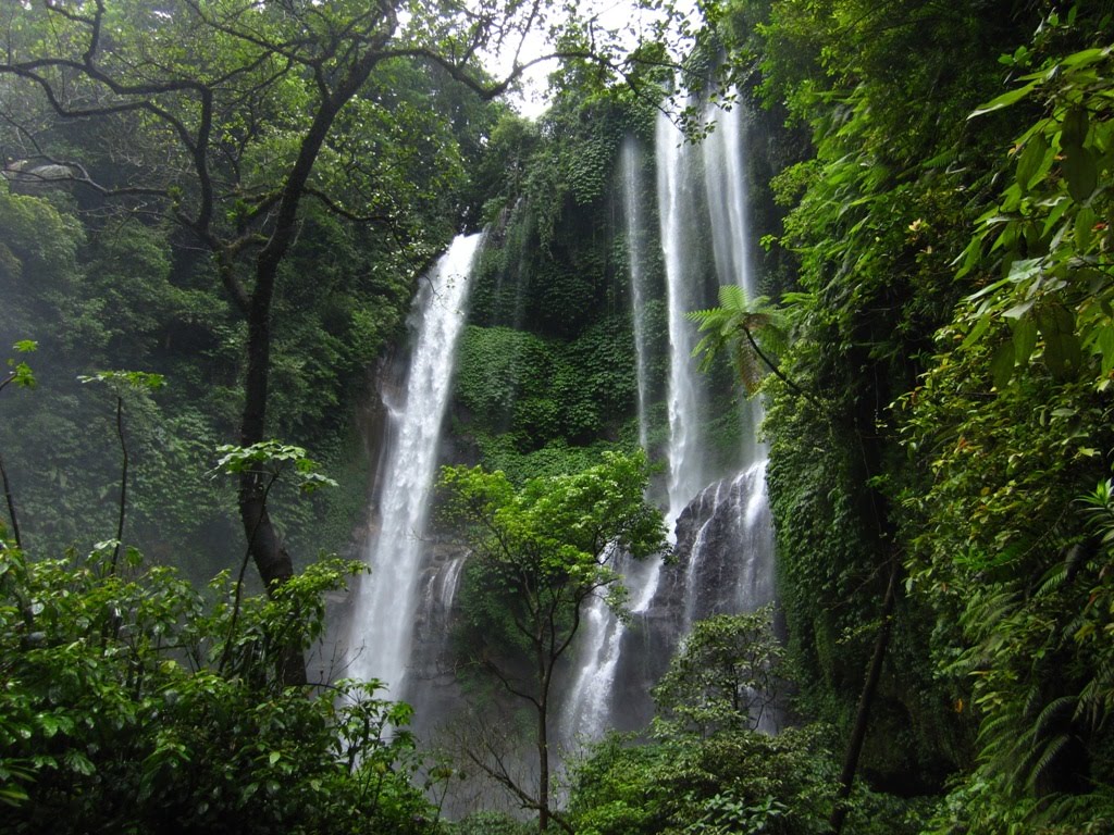 Sekumpul falls: A 7 in 1 Bali tourist attraction