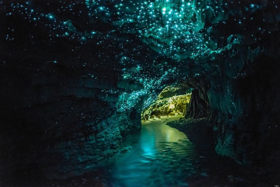 things to do in Queenstown, New Zealand, Glowworm cave, Te Anau things to do in Queenstown, New Zealand, Glowworm cave, Te Anau