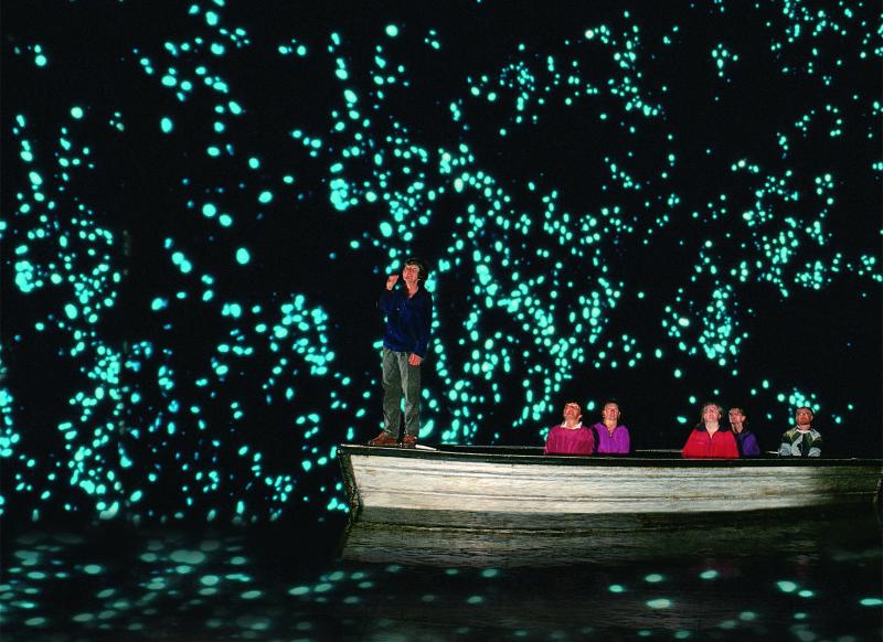 A different cultural experience in the Waitomo caves as a honeymoon destination in New Zealand A different cultural experience in the Waitomo caves as a honeymoon destination in New Zealand