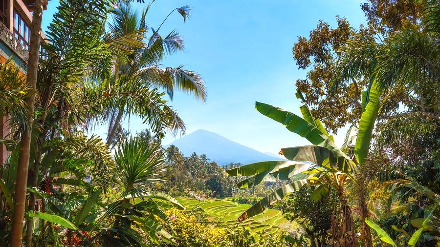 Volcano, Bali, Mount Batukaru, Volcanoes in Bali, Volcano Trekking, Rainforest trek Volcano, Bali, Mount Batukaru, Volcanoes in Bali, Volcano Trekking