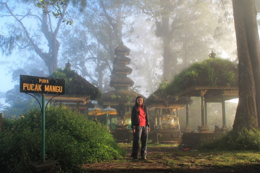 Volcano, Bali, Mount Catur, Volcanoes in Bali, Volcano Trekking, Puncak Mangu Volcano, Bali, Mount Catur, Volcanoes in Bali, Volcano Trekking, Puncak Mangu