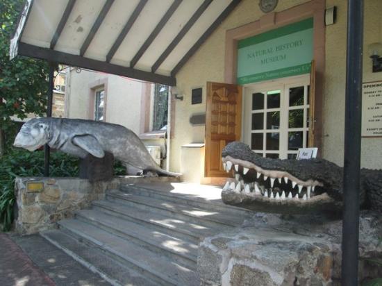 Seychelles Natural History Museum