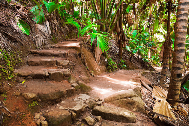 Vallée de Mai National Park