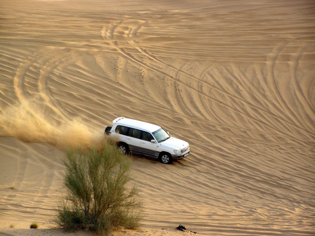 Dubai Desert Safari