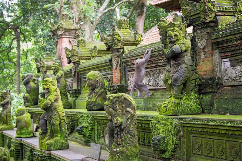 sacred Monkey forest