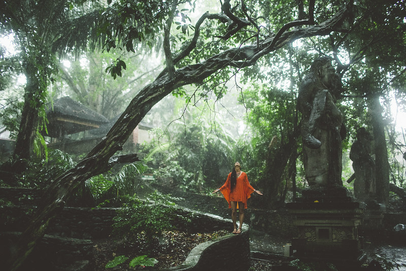 Sacred monkey forest