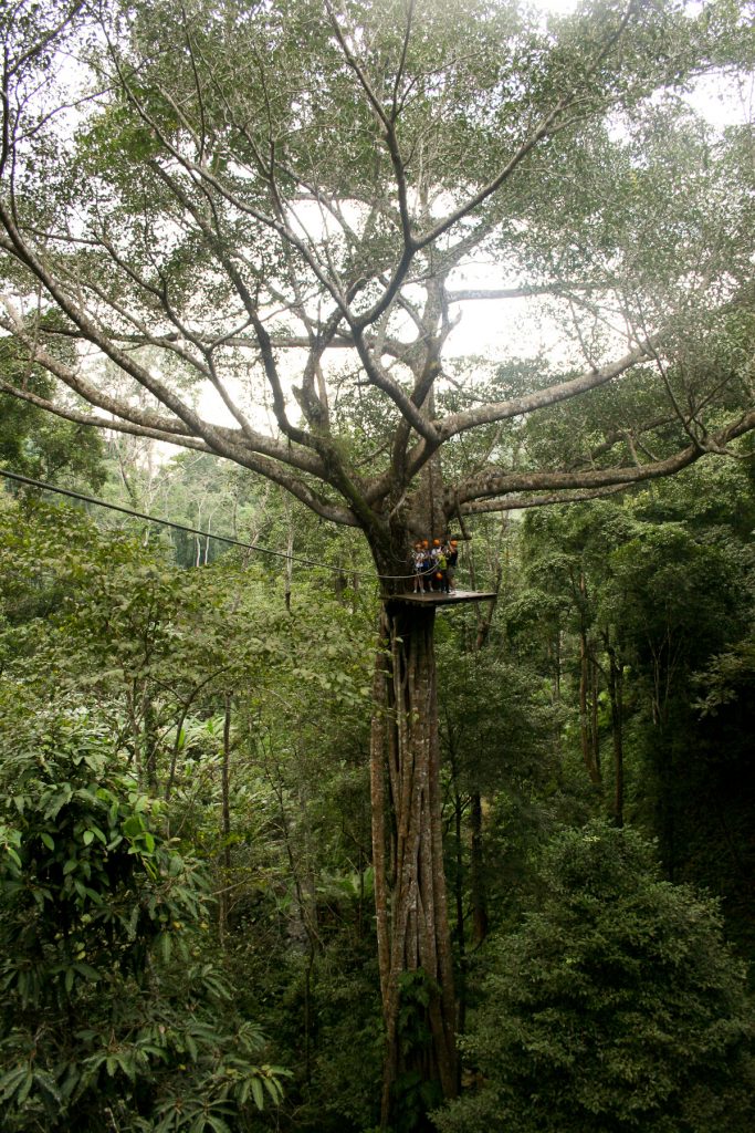 Zipling Chiang Mai