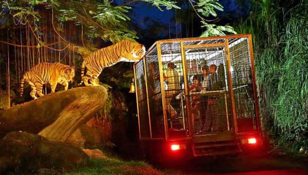 A Perfect Family Outing - The Bali Safari and Marine Park