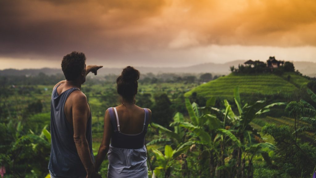 Rice terraces, Bali