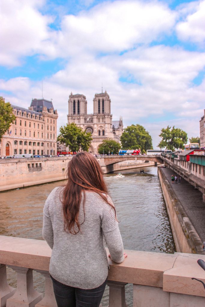 Notre Dame front view