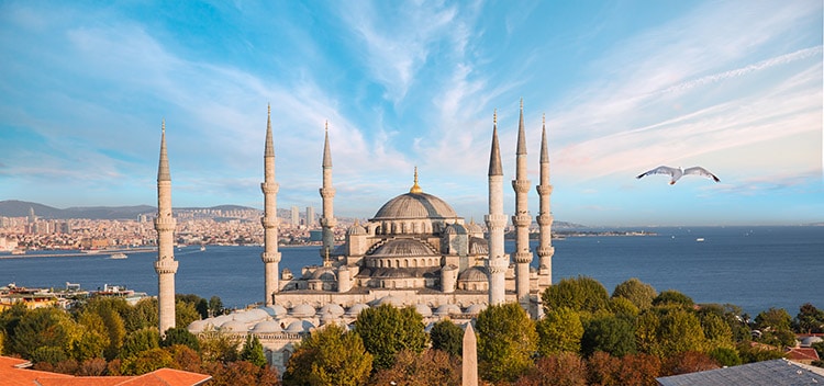 Blue mosque, famous mosques in Istanbul, turkey mosque,